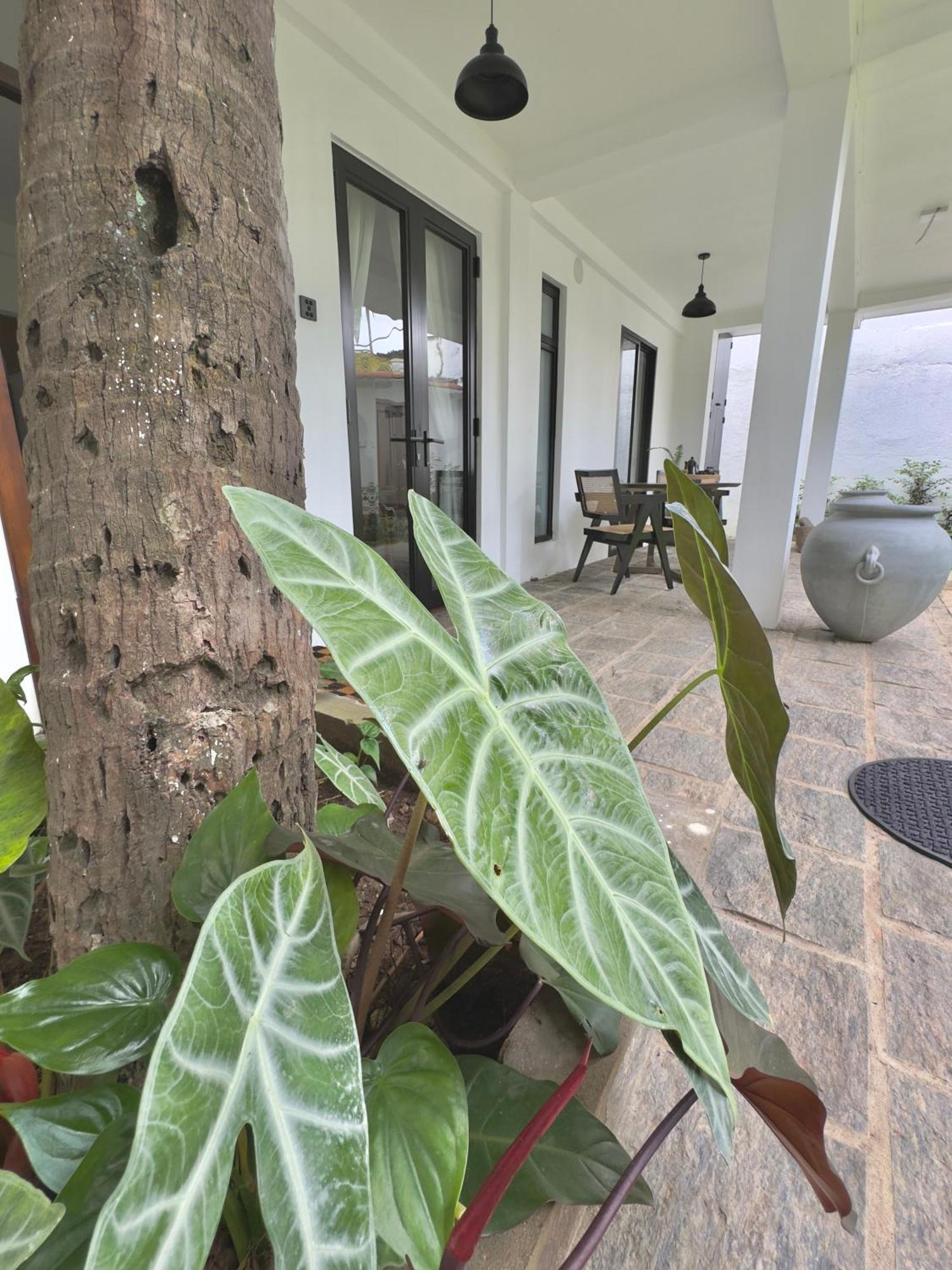 Vikasa Colombo